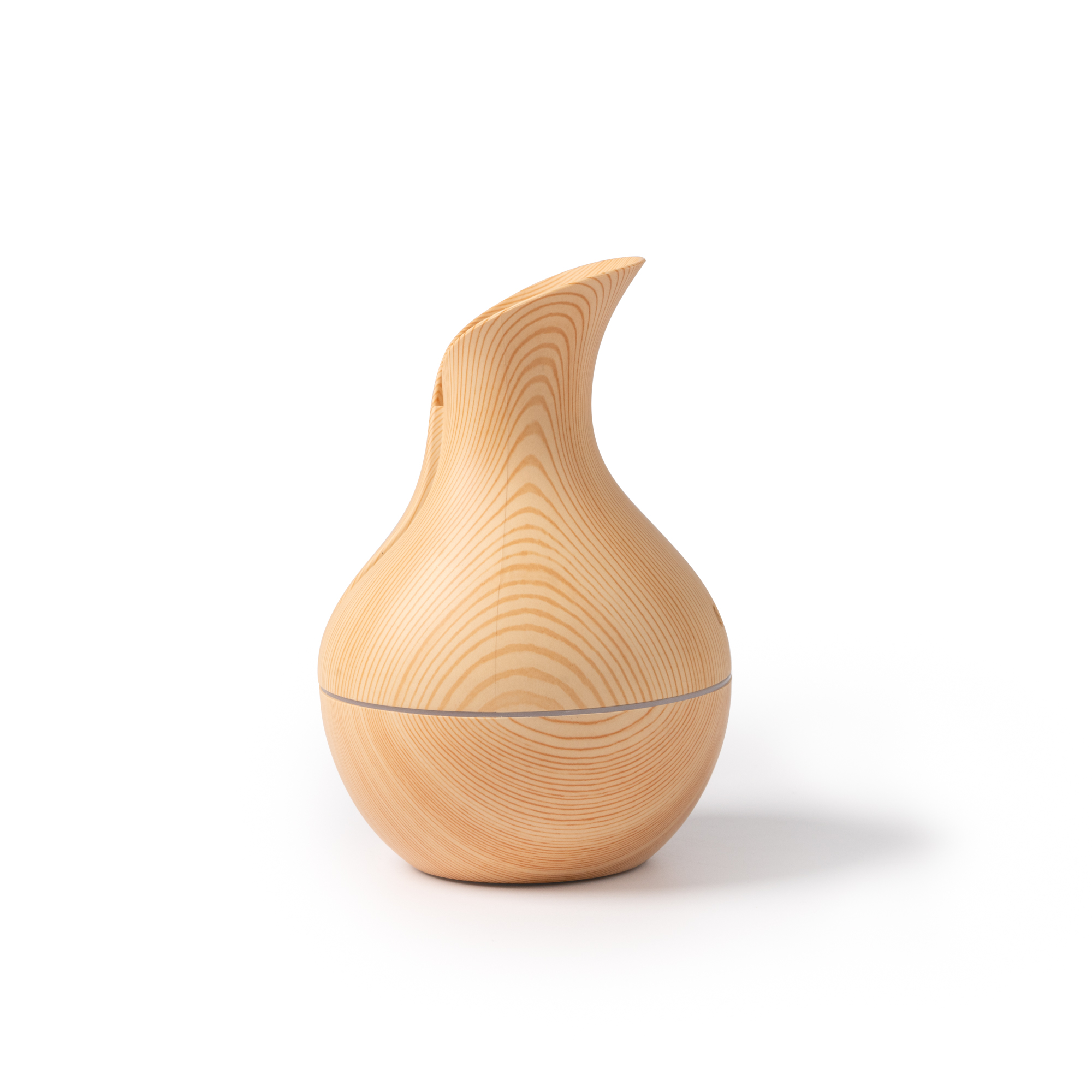 TULIP - Imagen 5